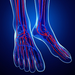 Improving Circulation in Your Legs